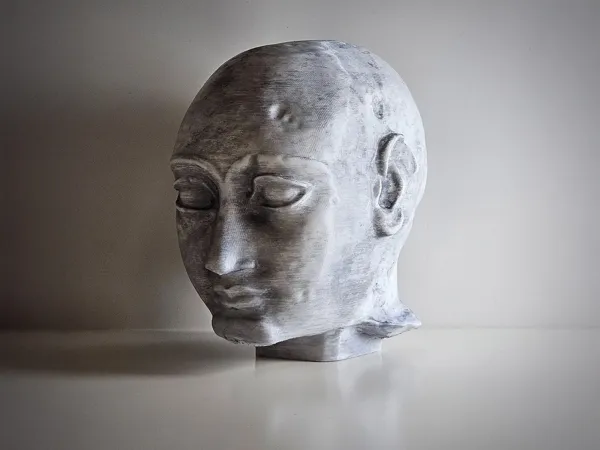 https://makerworld.bblmw.com/makerworld/model/US8e0252c302caf2/design/2025-01-18_99a2d21767727.jpg