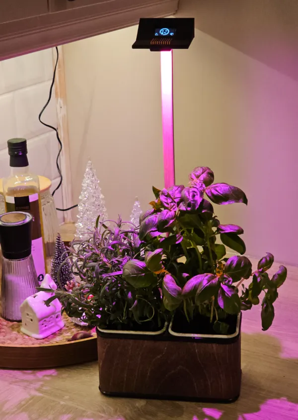 https://makerworld.bblmw.com/makerworld/model/US8e039cca56b811/design/2024-11-21_56ac83f82e34d.jpg