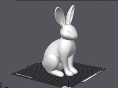 Hase / Rabbit 
