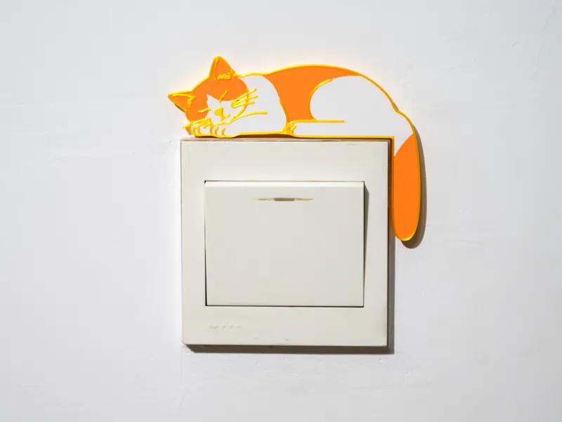 趴在开关板上睡觉的小猫