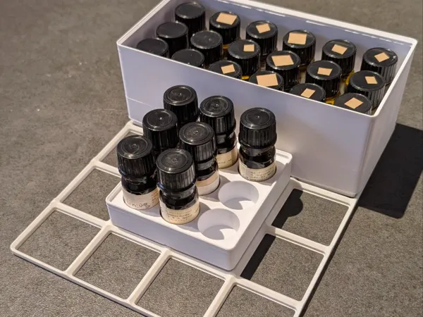 https://makerworld.bblmw.com/makerworld/model/US8e0e635d303a20/design/2024-12-19_4f638249473a6.jpg