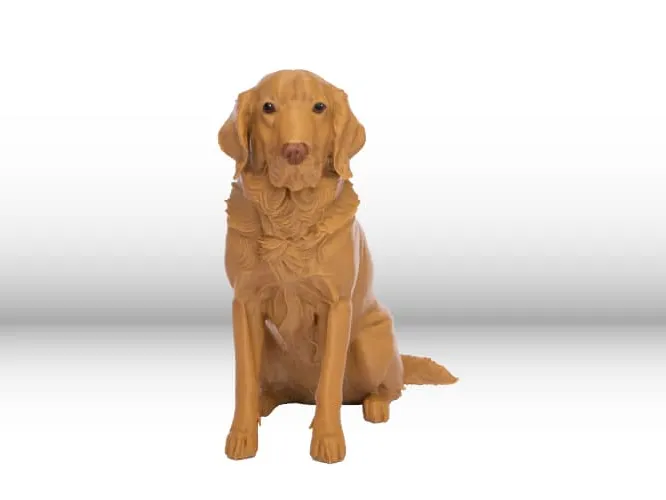 Canela | Perro Golden 3D
