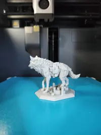0.16mm layer, 2 walls, 15% infill