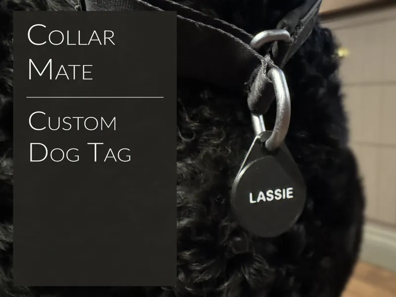 CollarMate - Custom Dog Tag