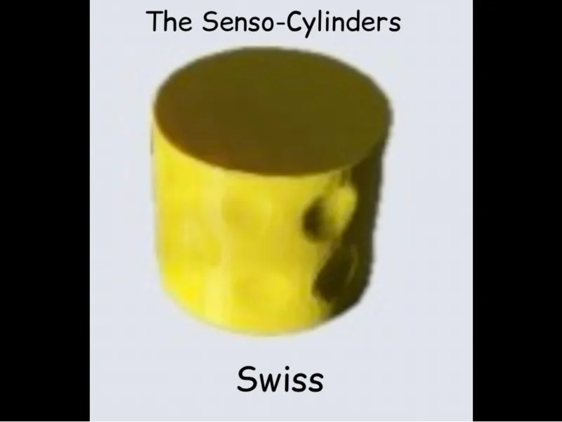 Senso-Cylinder Swiss