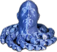Rocktopus - pieuvre à visage de pierre — photo 2