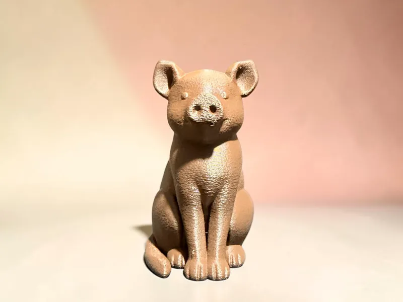 Pig Cat