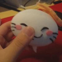 0.2mm 层高, 2 层墙, 10% 填充可动