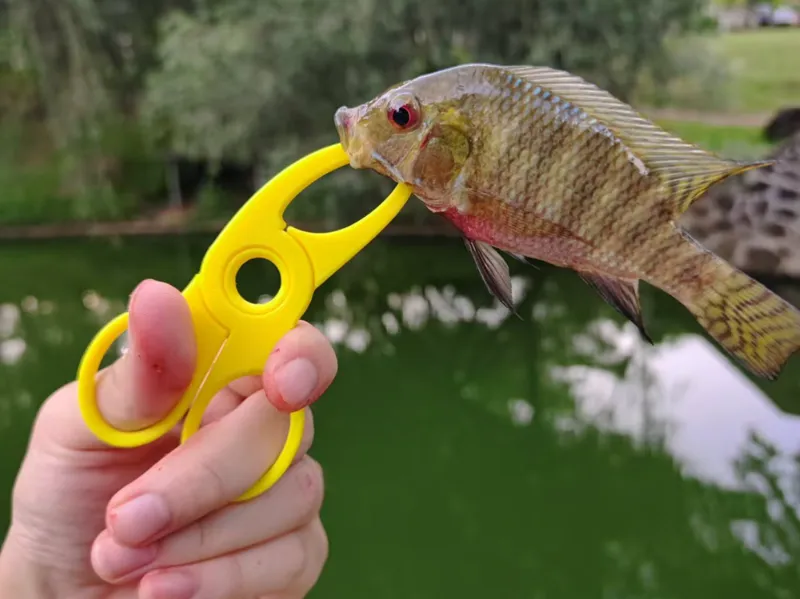 路亚微物鱼嘴钳2.0(Lure small fish Mouth Pliers)