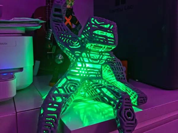 https://makerworld.bblmw.com/makerworld/model/US8e1a3f47c018c4/design/7ed5f428fb0851dc.jpeg
