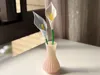 One Calla Lily (No AMS Needed)