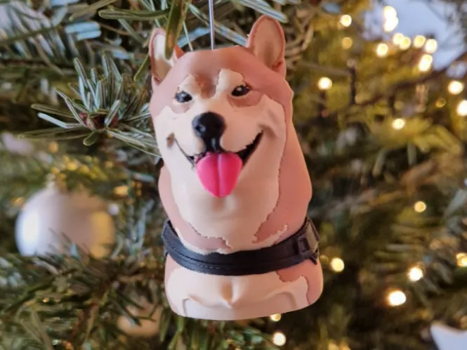 Shiba Inu