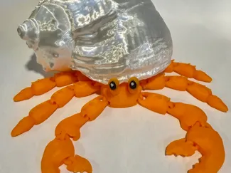 Flexi Hermit Crab with 3 Shell Options 