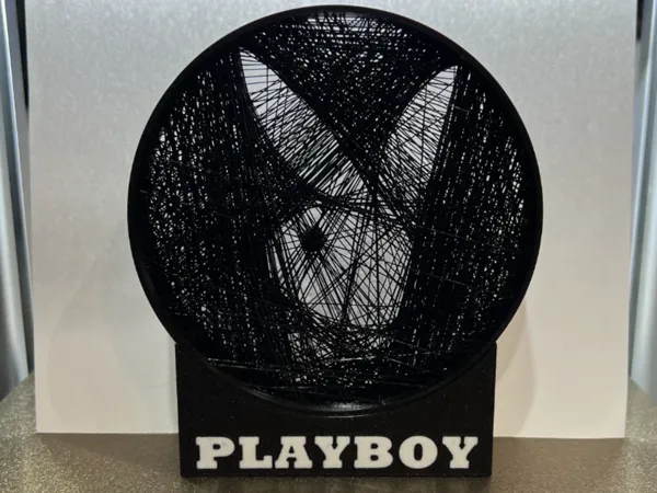 https://makerworld.bblmw.com/makerworld/model/US8e21aef608423a/design/2025-03-30_e42b529d96e57.jpeg