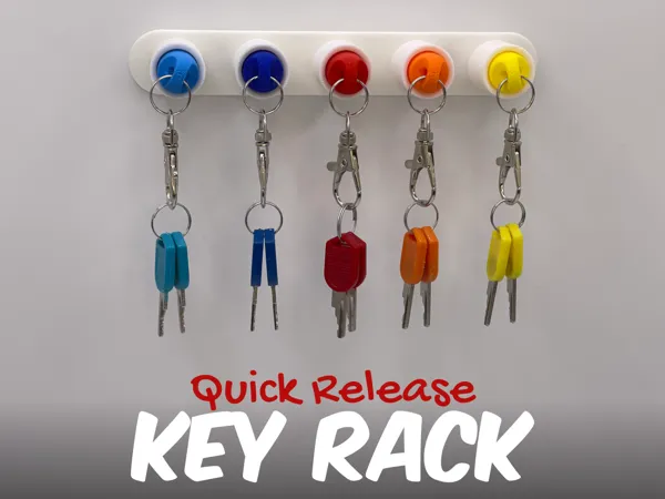 https://makerworld.bblmw.com/makerworld/model/US8e21ded9071562/design/2024-09-20_d65f8d9c33211.png
