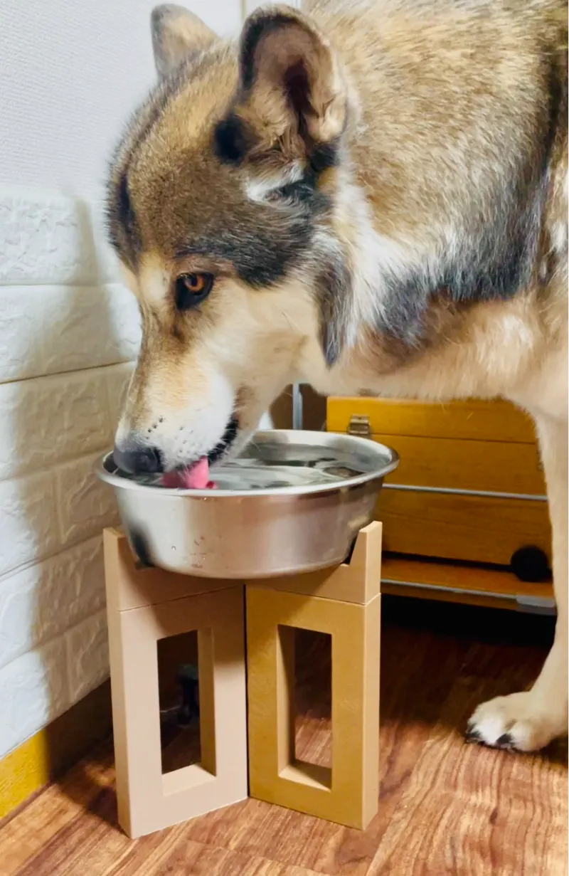 Food Bowl Raiser Stand