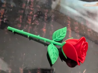 Rose mit Stacheln