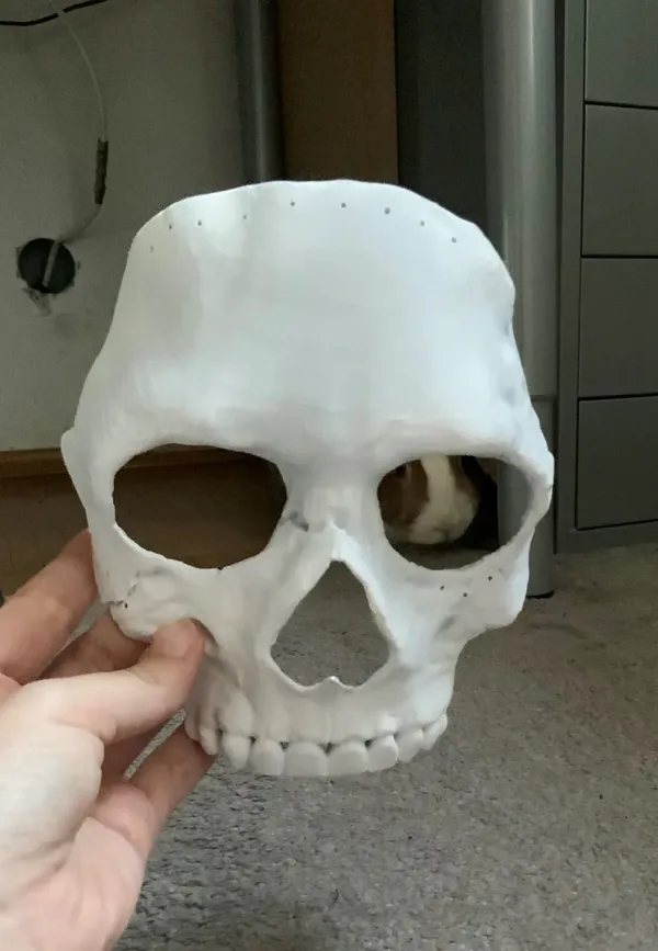 https://makerworld.bblmw.com/makerworld/model/US8e2379f6c8b781/design/2023-09-24_69dcabee368d4.webp