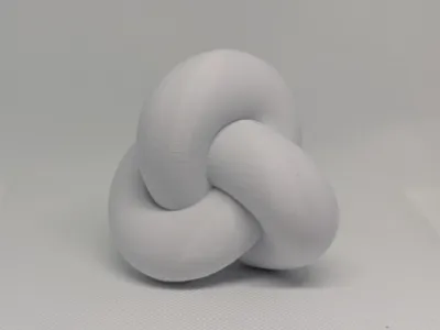 Chonky Trefoil Knot