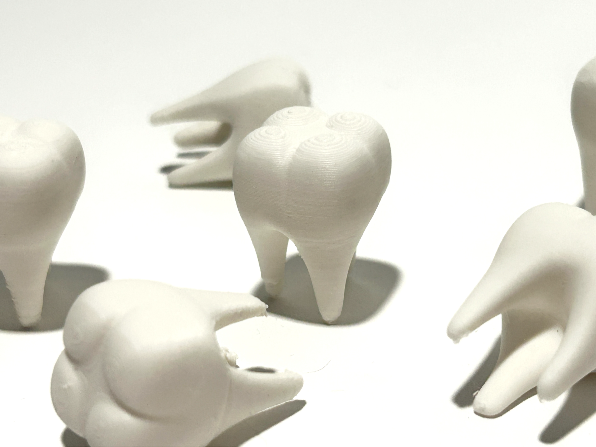 miniature_molars