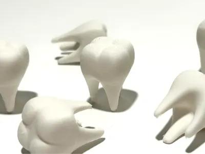 miniature_molars