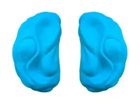 0.16mm layer, 2 walls, 15% infill