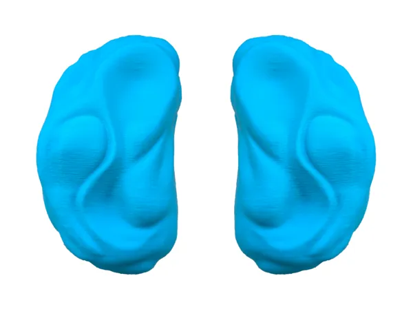 https://makerworld.bblmw.com/makerworld/model/US8e2eed2be43b2b/design/05f08e696333b6c1.png