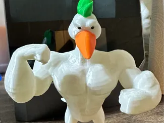 muscular goose