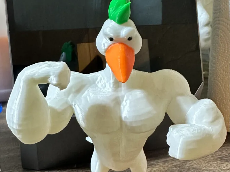 muscular goose