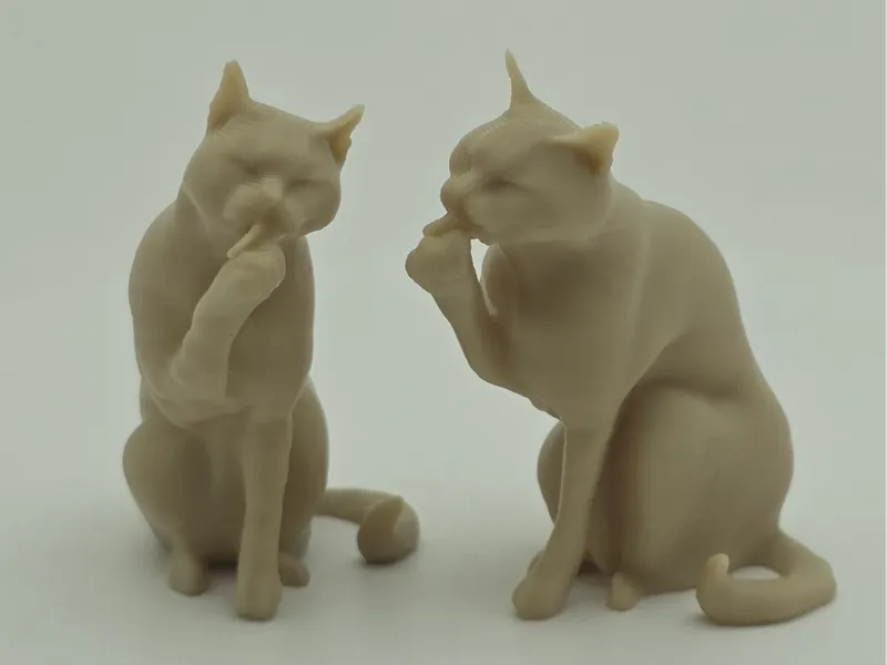 Cute Grooming Cat – Quick Test & Calibration Print