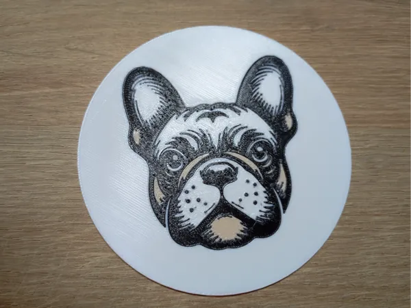 https://makerworld.bblmw.com/makerworld/model/US8e37682ff07ae5/design/2024-12-04_a82478443ff99.jpg