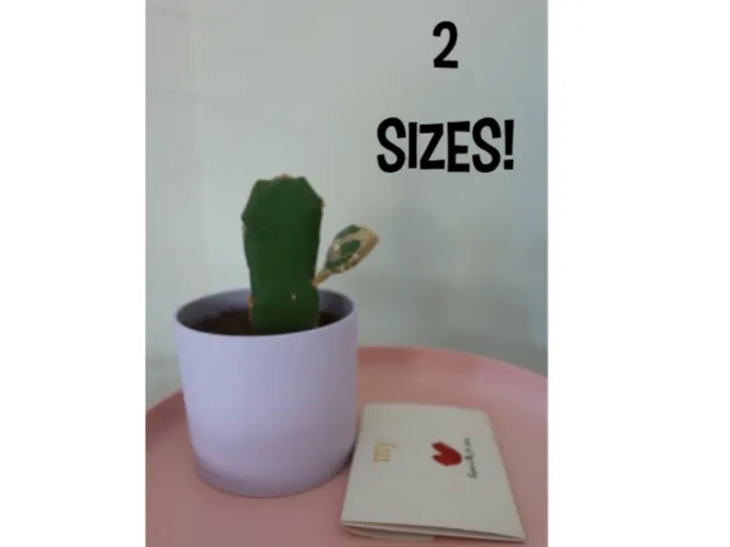 Flowerpot
