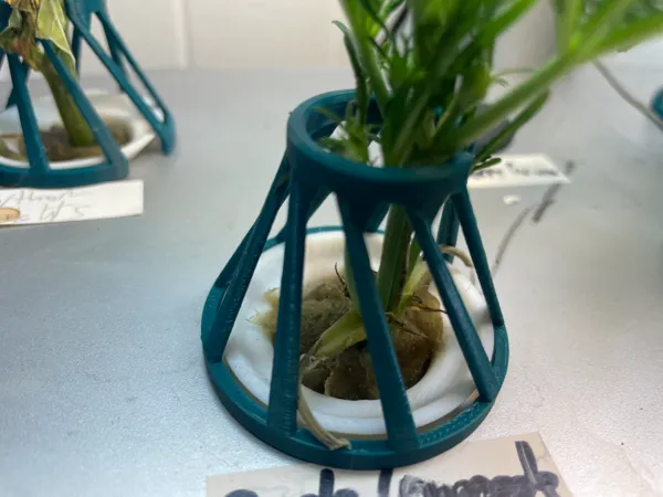Tuteurs pour plants Aerogarden