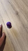 The Crazy Wobble Ball! 