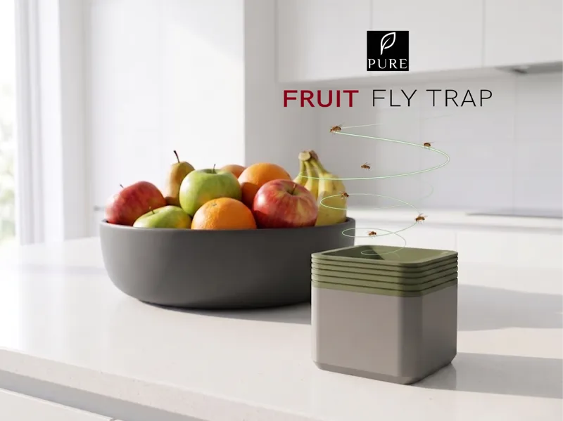Fruit Fly Trap