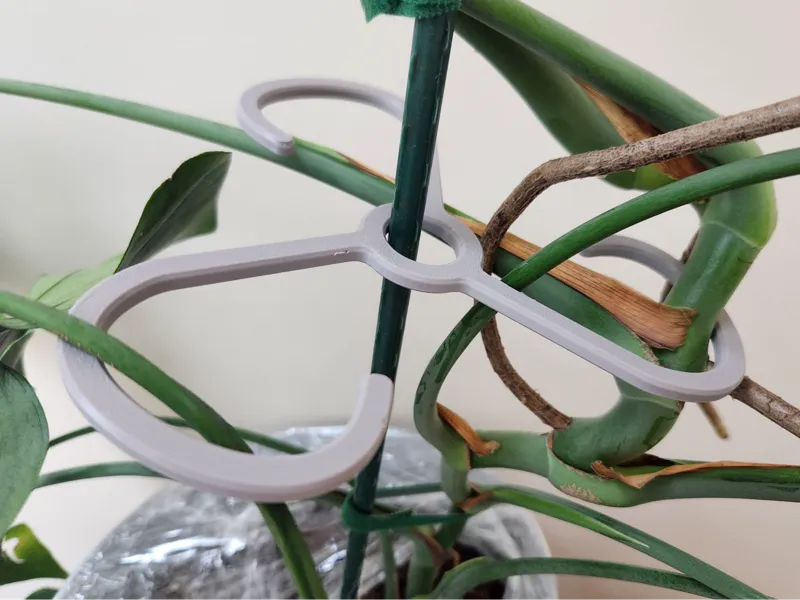 Plant Stem Support (Holder) v2