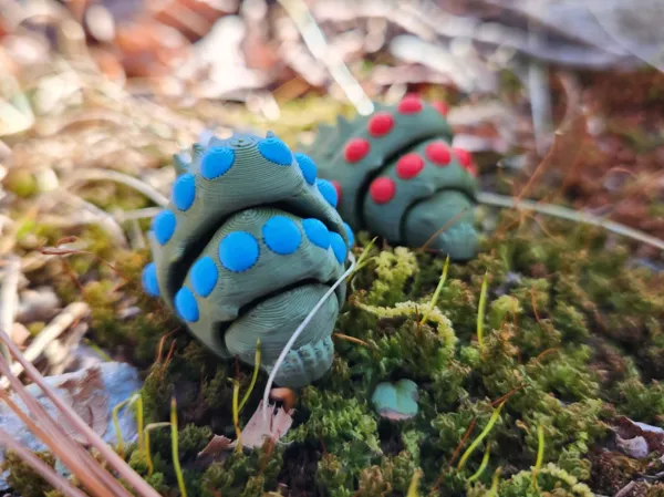 https://makerworld.bblmw.com/makerworld/model/US8e5a10c49a3b27/design/2025-03-16_cf4b5135c63a08.jpg