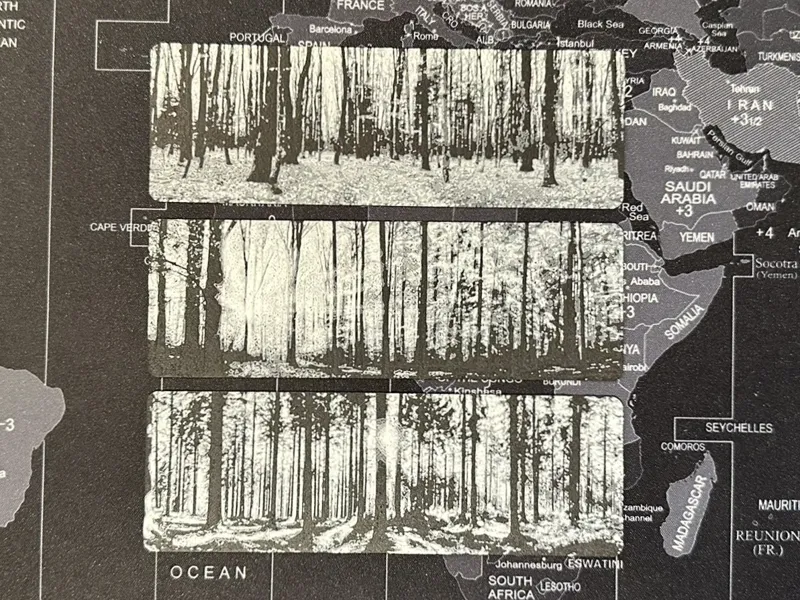 Into the Woods Hueforge Bookmark