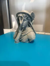 0.16mm layer, 2 walls, 10% infill
