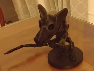 Skeleton Rat