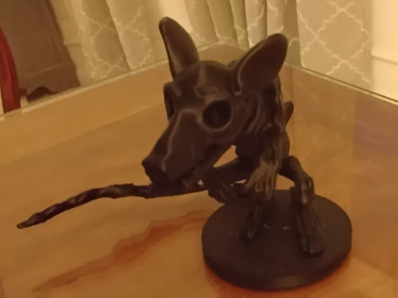 Skeleton Rat
