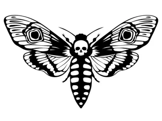 Skull moth (Acherontia atropos)