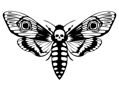 Skull moth (Acherontia atropos) 