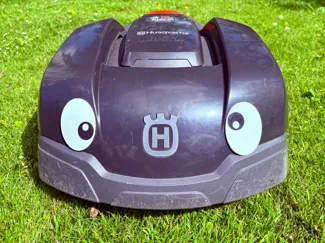 Crazy Automower Eyes