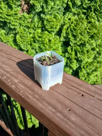 0.2mm layer, 2 walls, 15% infill