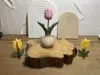Large Tulip