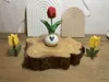 Small Tulip with Heart