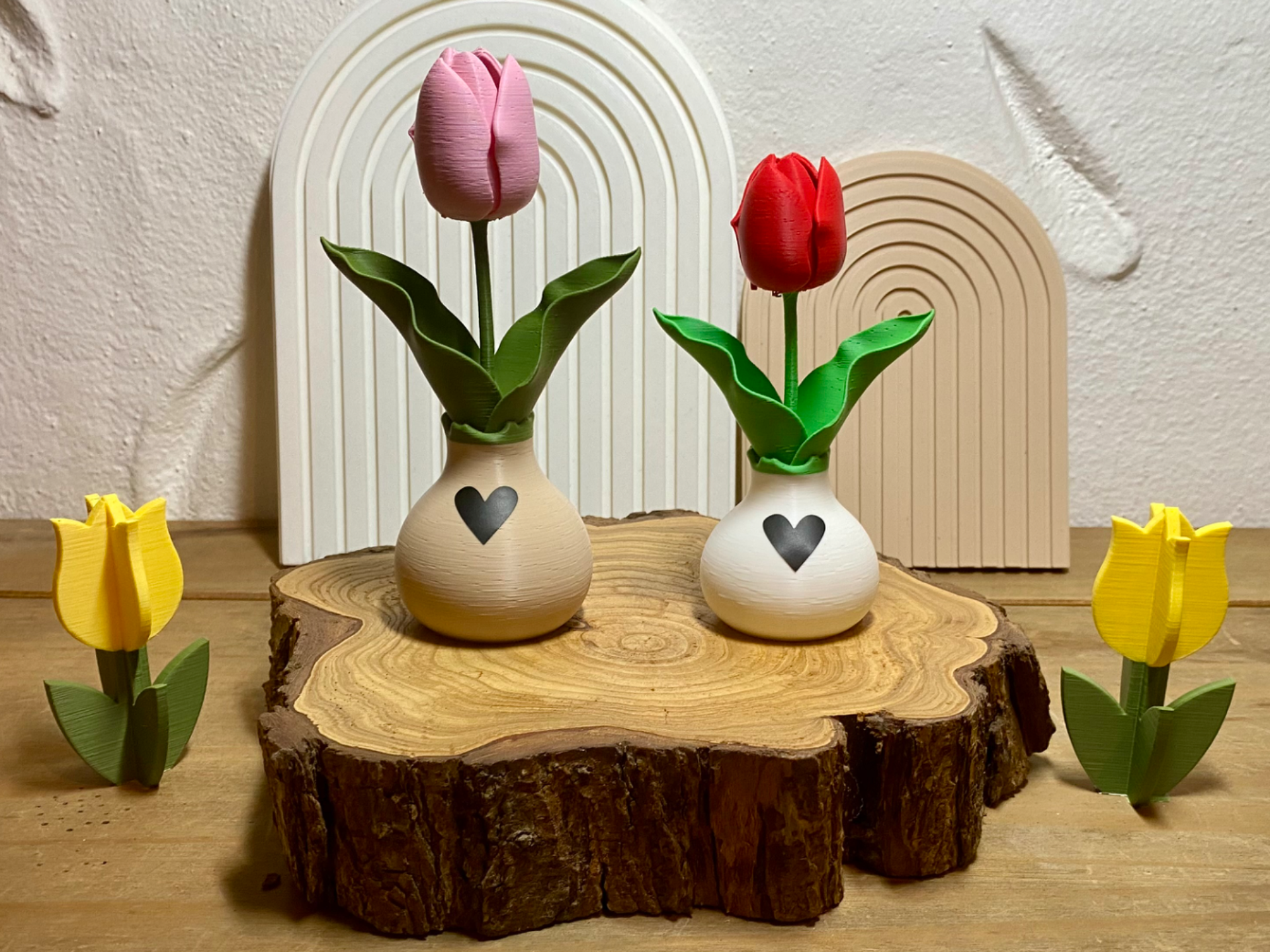 Tulpe Blume mit Zwiebel
