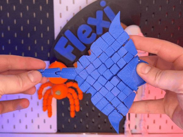 https://makerworld.bblmw.com/makerworld/model/US8e679963768bf6/design/2025-12-11_5c7e98705a5d28.gif