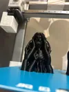 0.16mm layer, 2 walls, 10% infill